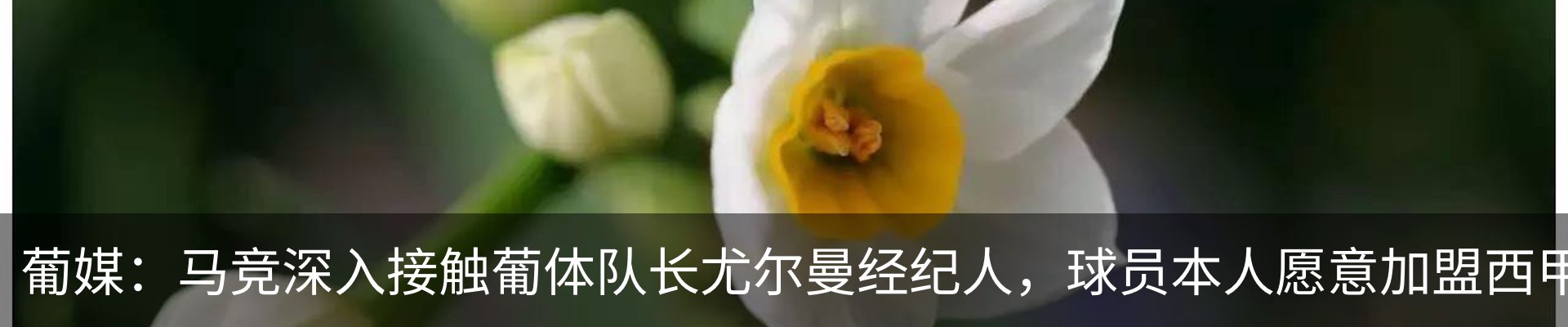 资讯动态