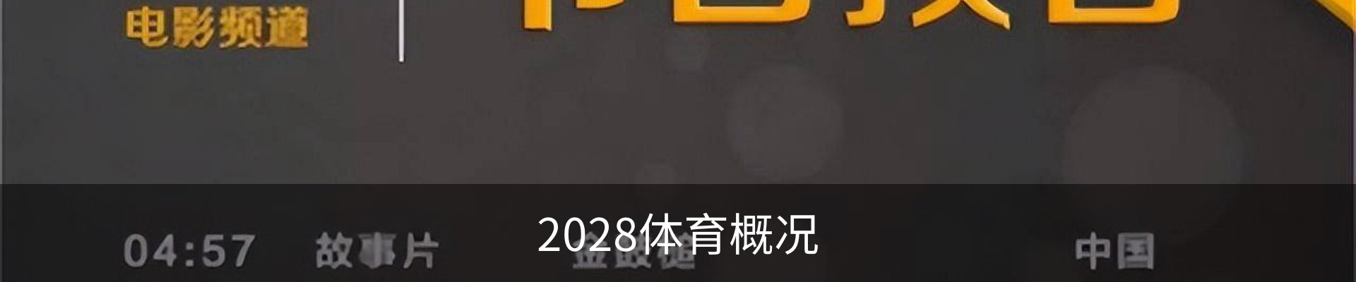2028体育概况